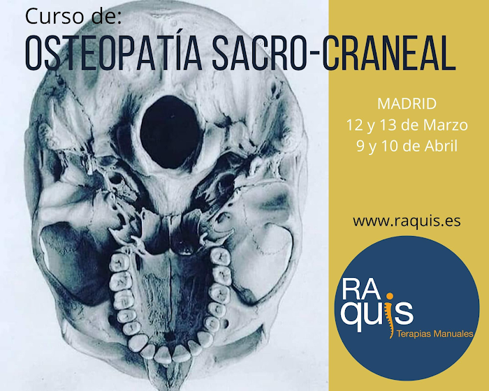 Escuela RAquis -Escuela de Terapias Manuales- Quiromasaje, Osteopatía, Acupuntura, Shiatsu,...) 5 Imagen del Slider