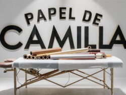 🧻 Papel camilla