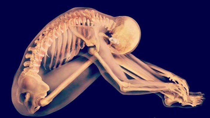 Consulta de Osteopatia y Masaje