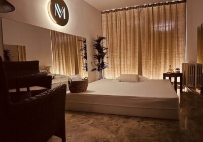 Máximas Vibraciones