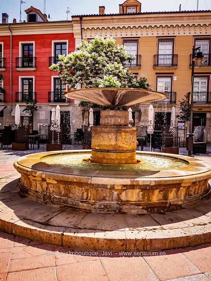 masajes Valladolid