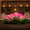 Masajes orientales Nelumbo