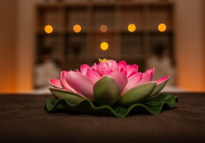 Masajes orientales Nelumbo