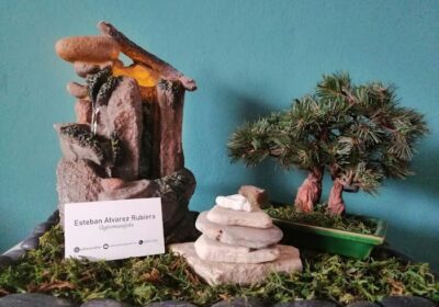 RubieraSukha Quiromasaje