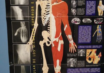 Juha Karlsson Quiromasajista-Masaje Deportivo