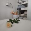 Terapias Naturales Rosa Inglés