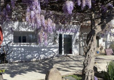 Adara Essence Estètica