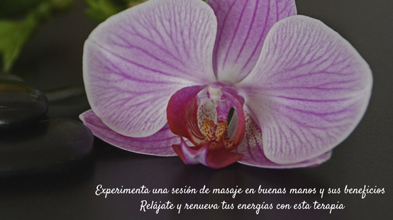 Imagen del Slider