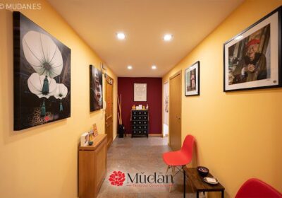 Mudán Masajes Orientales Burgos