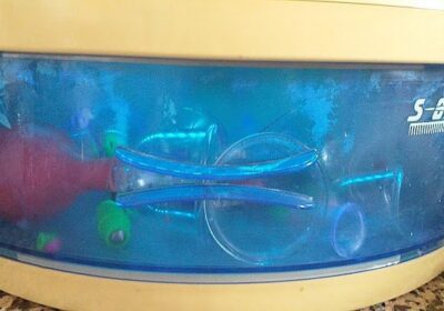 Clara Martín quiromasajista