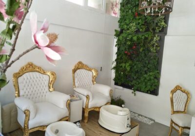 Rosa Torrent Imatge Personal