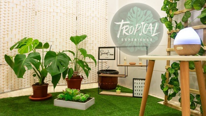 Tropical Experience, Masajes y Estética Spa