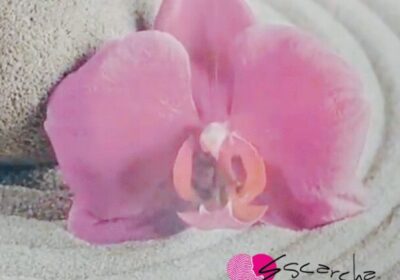 Estética y Bienestar Escarcha