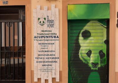 El Panda Verde,Acupuntura,Osteopatia,terapia regenerativa, terapia miofascial,quiromasaje,K-strech,reflexología…