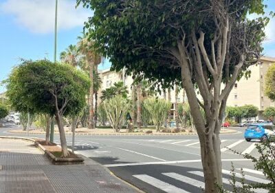 Serendipia Centro de Acupuntura, Osteopatía y Quiromasaje