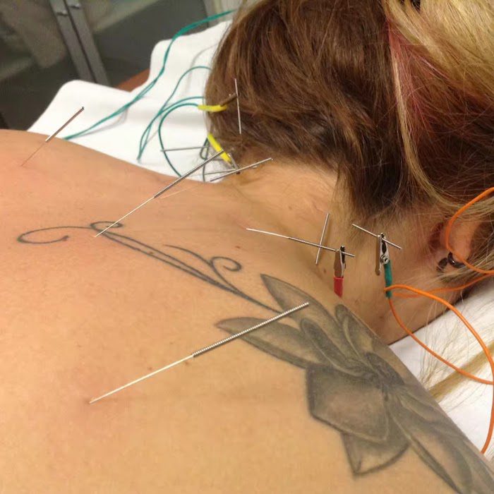 Centro de Acupuntura para seres vivos y animales