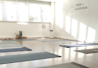 Escuela de Yoga y Ayurveda. La Voluntad del Alma