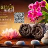 5ive Banús Massage. Relajantes especiales near Marbella. Masajes Relajantes.