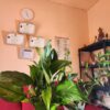 BAIBUA THAI RELAJANTES ESPECIALES ESTEPONA