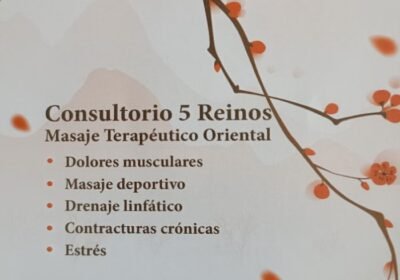 Consultorio 5 Reinos – Masajes MTC