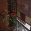 Luxury Thai