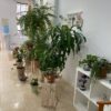 MIMASANA Centro De Masajes - Masajes Valencia.