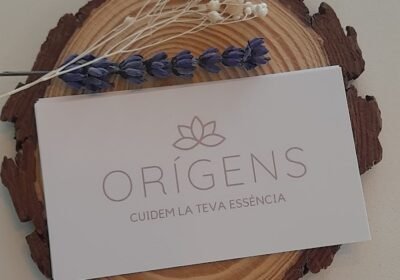 Orígens Essència