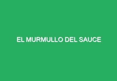 El Murmullo del Sauce