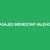 Masajes Bienestar Valencia - Masajes Valencia.
