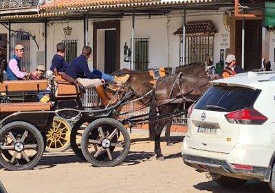 Centro De Masajes “El Camino”