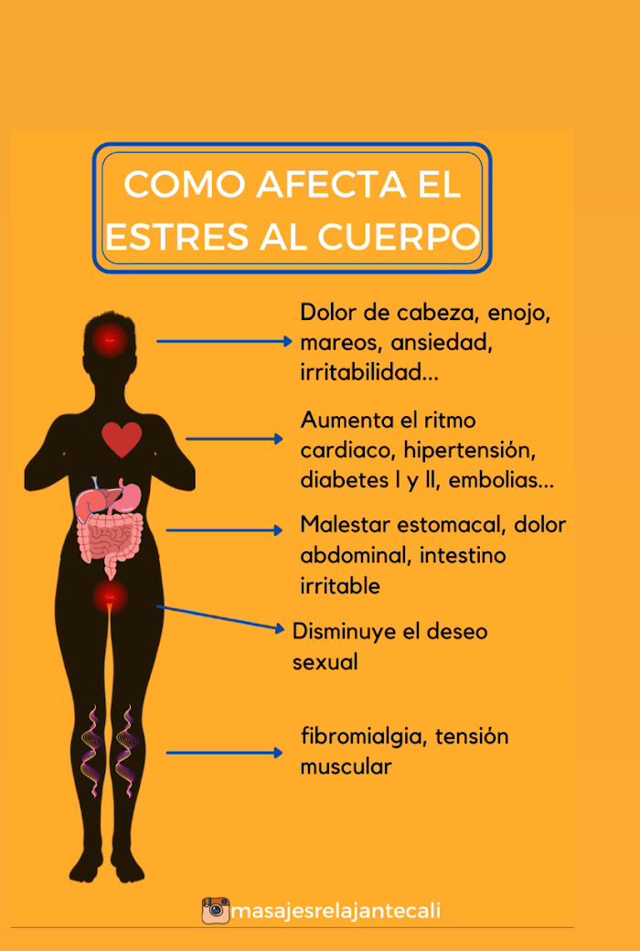 Imagen del Slider