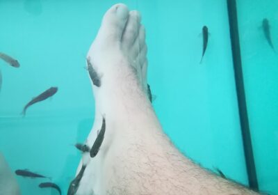 Sanlúcar Fish Spa