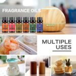 🧘‍♀️ Set de aceites esenciales orgánicos para aromaterapia y masajes - Imagen 2