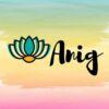 Anig Masajes