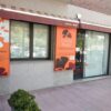 Ginkgo Lloret