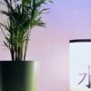 JúLu Masaje Massage Asian