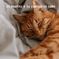 Masajes Jujuy