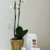 Reluxe Massage and Wellness