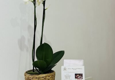 Reluxe Massage and Wellness
