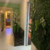 Rosi Spa Medicinal
