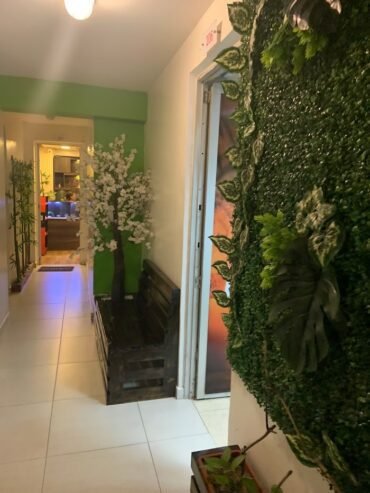 Rosi Spa Medicinal