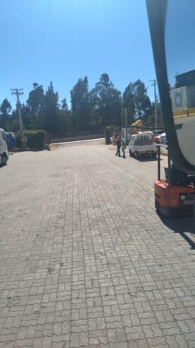 Vicuña Minerales Spa