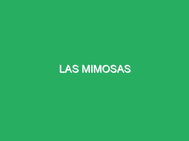 Las Mimosas