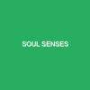 Soul Senses