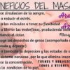 Masajes Terapeuticos