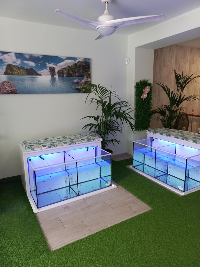 Massage & Spa fish & Sound therapy 2 Imagen del Slider