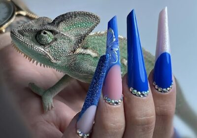 Laisa Nails Academy