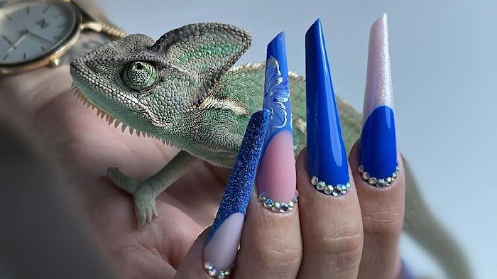 Laisa Nails Academy