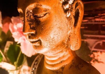 Massage Palace Latino II Aragon