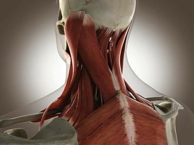 Imagen del Slider